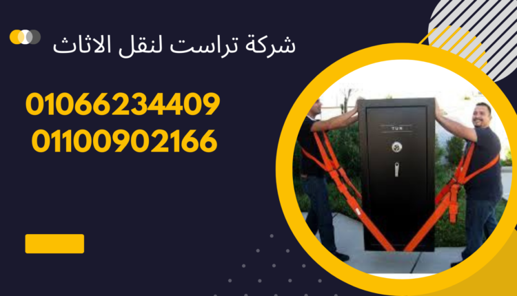 شركة نقل اثاث في المنصورية